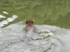 10.07.2006 17:37:06