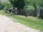 Девятый день 10.07.2007 18:58:36
