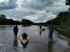 Одиннадцатый день 14.07.2026 15:17:45