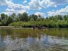 Двенадцатый день 15.07.2026 11:35:45